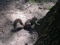 DSCN1843.jpg